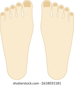This Illustration of a foot.