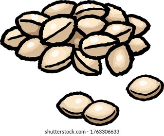 This is an illustration of Gingnan. Gingnan is the fruit of ginkgo.