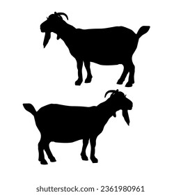 This is an illustration of a goat with a beard. black silhouette on white background.