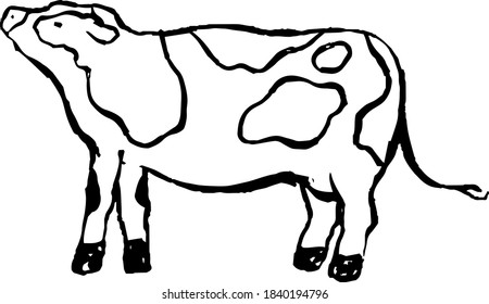 This is a illustration of Hand drawn realistic dairy cowillustration 