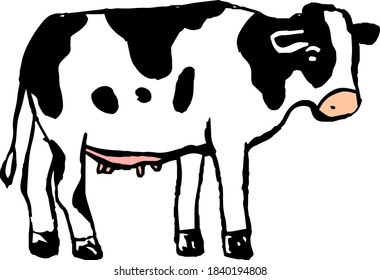 This is a illustration of Hand drawn realistic dairy cowillustration 