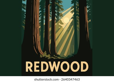 This illustration highlights the towering redwood trees of Redwoods National Park, with sunlight filtering through the forest canopy. 