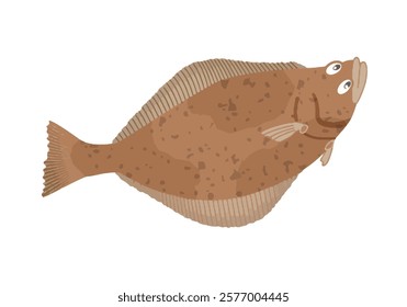 This is an illustration of Kamchatka flounder.