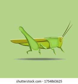 This is an illustration of a locust, this illustration is used for symbols, mascots, stickers or accessories for insect-themed designs