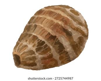 Esta é uma ilustração de um taro longo e fino. Ele pode ser usado para projetos relacionados a culinária, ilustrações, diagramas, etc.
