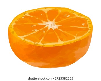 Esta es una ilustración de una naranja mandarina cortada por la mitad. Se puede utilizar para diseños relacionados con alimentos, ilustraciones, diagramas, etc.