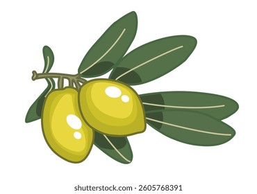 This is an illustration of a olive branch