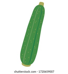 This is an illustration of an onion
