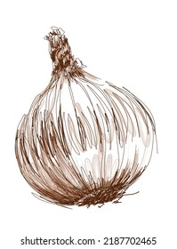 This is an illustration of an onion drawn with the scribble art technique.
