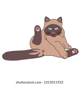 This illustration portrays a Siamese cat, known for its distinctive markings and the characteristic "smudges" on its face, cleaning itself.