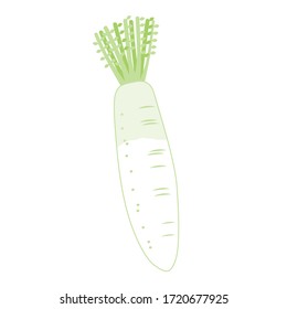 This is an illustration of radish