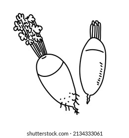 Esta es una ilustración del rábano.