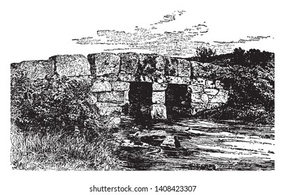 This illustration represents Banks Held by Moderate Planting, vintage line drawing or engraving illustration.
