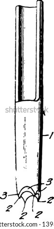 This illustration represents Belt Punch which is a tool used to open another hole vintage line drawing or engraving illustration.
