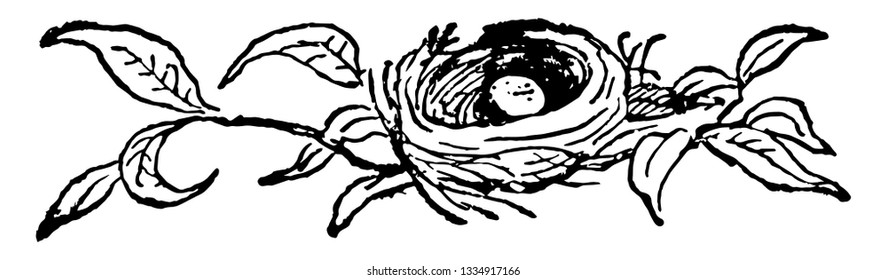 This Illustration Represents Bird Nest With An Egg, Vintage Line Drawing Or Engraving Illustration.