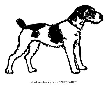 Diese Illustration stellt einen schwarz-weißen Hund mit schwarzen Flecken, Vintage-Linien-Zeichnung oder Gravur-Illustration dar.