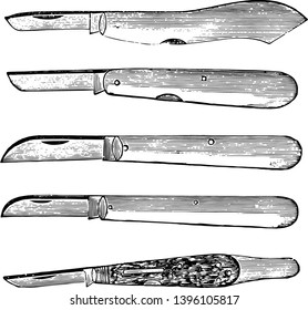 This illustration represents Budding Knives which used for ordinary purposes vintage line drawing or engraving illustration.