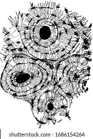 This illustration represents Compact Bone, vintage line drawing or engraving illustration.