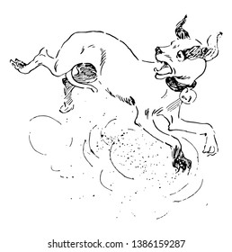 Esta ilustración representa Perro, que es Dibujo de línea vintage o ilustración de grabado.