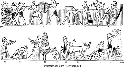 This illustration represents Egyptian Agriculture where reaper drinking from cup vintage line drawing or engraving illustration.