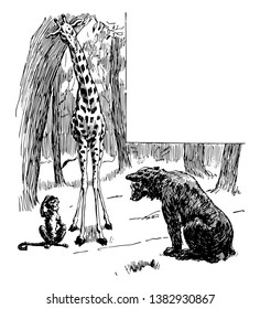 This illustration represents Giraffe & Monkey Looking at Bear Cub, vintage line drawing or engraving illustration.