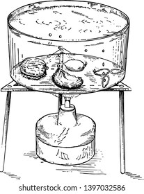 This illustration represents Hot Water where seeds that are placed in hot water vintage line drawing or engraving illustration.