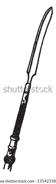 This Illustration Represents Japanese Spearhead Vintage Stock Vector Royalty Free