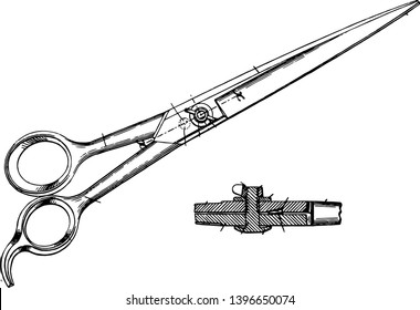 This illustration represents Large Scale Scissors which consist of a pair of metal blades vintage line drawing or engraving illustration.