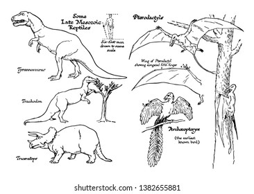 This illustration represents Late Mesozoic Age Reptiles, vintage line drawing or engraving illustration.