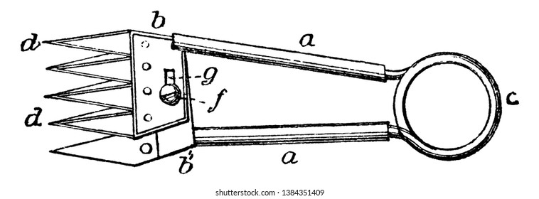 This illustration represents Multiple Bladed Sheep Shears, vintage line drawing or engraving illustration.