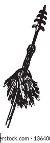 This illustration represents Phillipine spearhead, vintage line drawing or engraving illustration.
