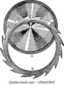 Diese Illustration stellt Rim Saw dar, die eine Ringlinie mit Vintage-Zeichnung oder Gravur ist.
