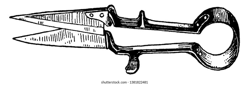 This illustration represents Sheep shearing Shears where the blades turn, vintage line drawing or engraving illustration.