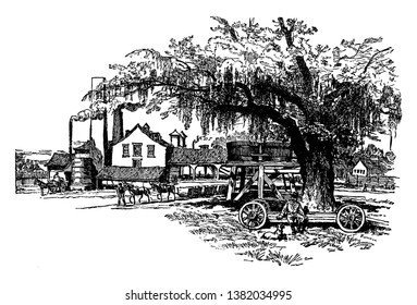 This illustration represents A Sugarcane Mill, vintage line drawing or engraving illustration.