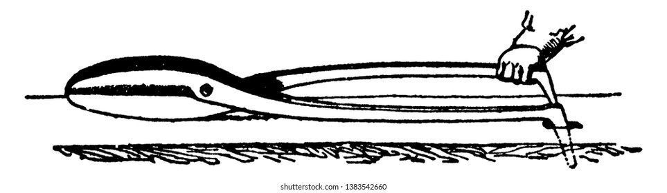 Diese Illustration stellt Tinsmith Shears dar, ein Werkzeug mit zwei kurzen, vintage Linien zeichnen oder gravieren Illustrationen.
