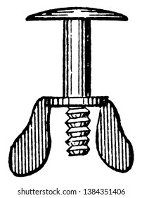 This illustration represents Truss Carriage Bolt and Wing Nut, vintage line drawing or engraving illustration.