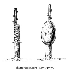 Diese Illustration stellt verschiedene Arten von Modus zur Unterstützung der Vintage Linie Graft Zeichnung oder Gravitation Illustration.
