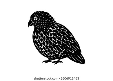 This illustration resembles a kea (Nestor notabilis), a parrot native to New Zealand. The kea is known for its intelligence and playful nature. 