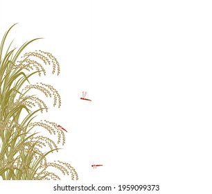 This is an illustration of rice plants and red dragonflies in full bloom.