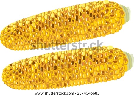 This is an illustration of roasted corn.