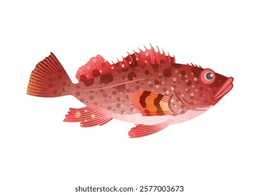 This is an illustration of Rockfish.