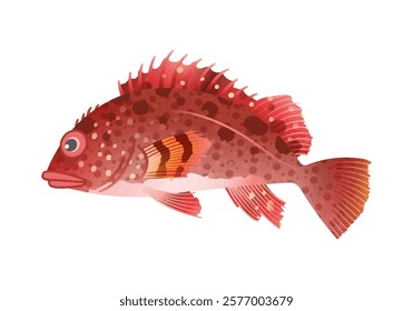 This is an illustration of Rockfish.