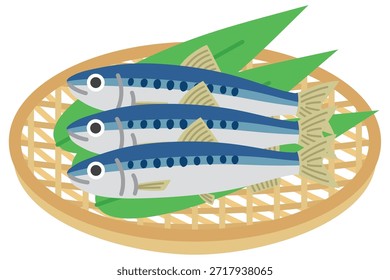 This is a Illustration of Sardine in colander.