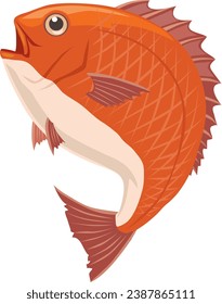 This is an illustration of a sea bream.