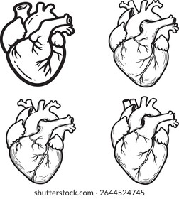  This illustration set features four distinct line drawings of a human heart. 