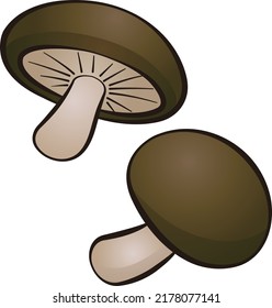 This is an illustration of shiitake mushrooms drawn in a line drawing style.

