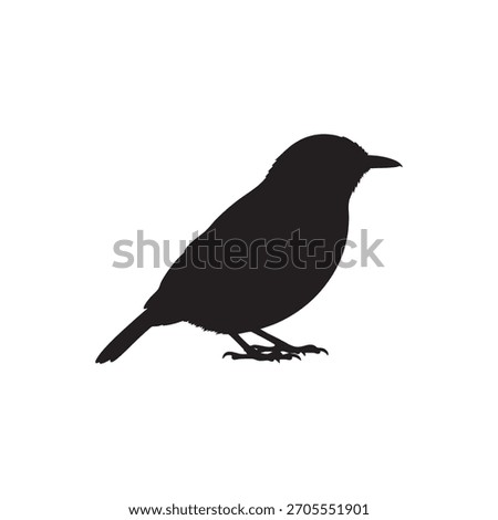 This illustration showcases a bold, high-contrast black-and-white silhouette of a crested bird positioned in a striking forest setting. Rendered entirely in solid black shapes, the artwork emphasizes 