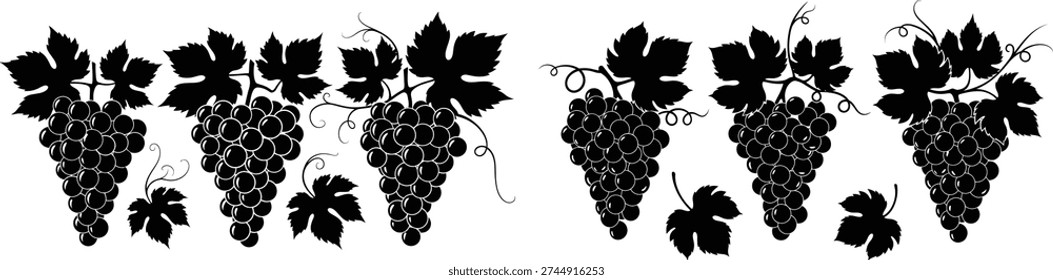 This illustration shows classic silhouettes of grape bunches, leaves, and curling tendrils. Ideal for wine labels, restaurant branding, or culinary designs.