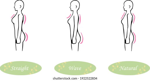 This illustration shows three