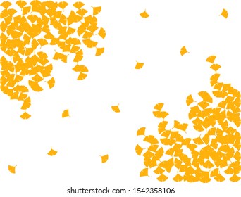 This is an illustration of the silhouette of a ginkgo.